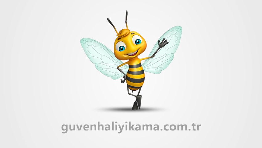 Güllübağlar Mahallesi Halı Yıkama